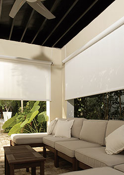 Innovación Continua